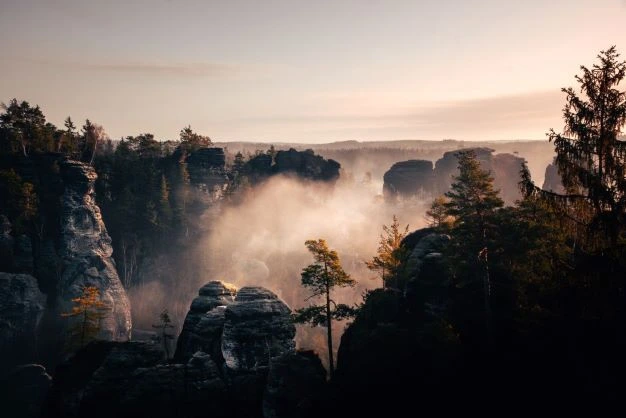 Fog mixed in with morning light, trees, and rock formations